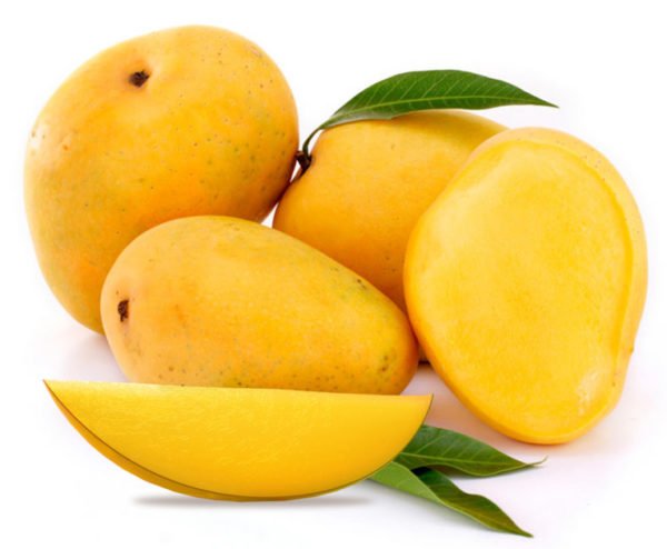 Mango (SINDHRI ) آم (PACK OF 1 KG)