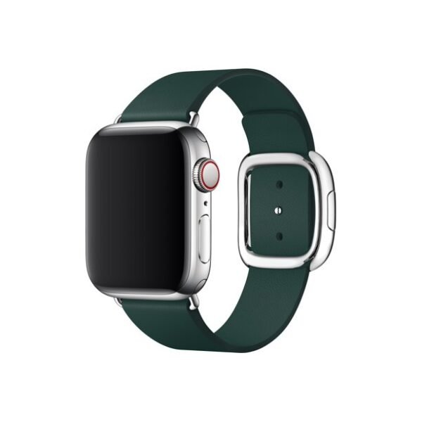 Apple 40mm Forest Green Modern Buckle, Medium
