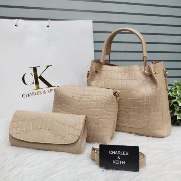 CHARLES&KEITH BRANDED HAND BAG ladies for (3piece)