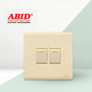 Two Switch Plate
