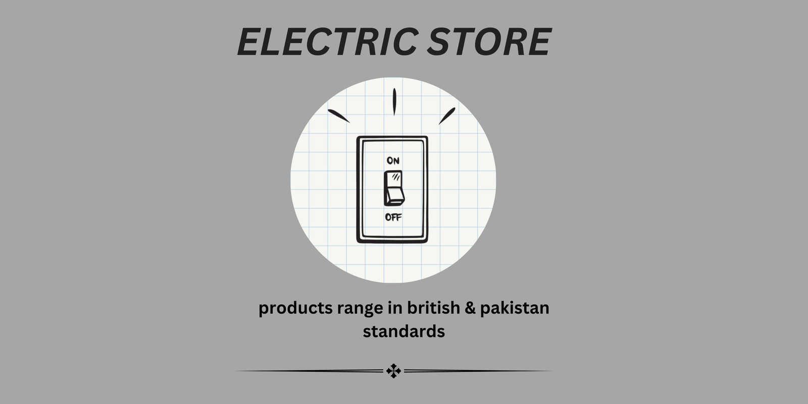 Electric store
