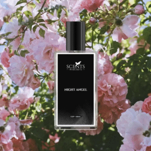 Night Angel Men's Perfume