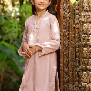 Blush Charm – Dobby Cotton Embellished 2PC Suit
