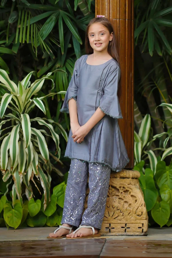 Silver Glow – Cotton Silk Embellished 2PC Suit - Image 3