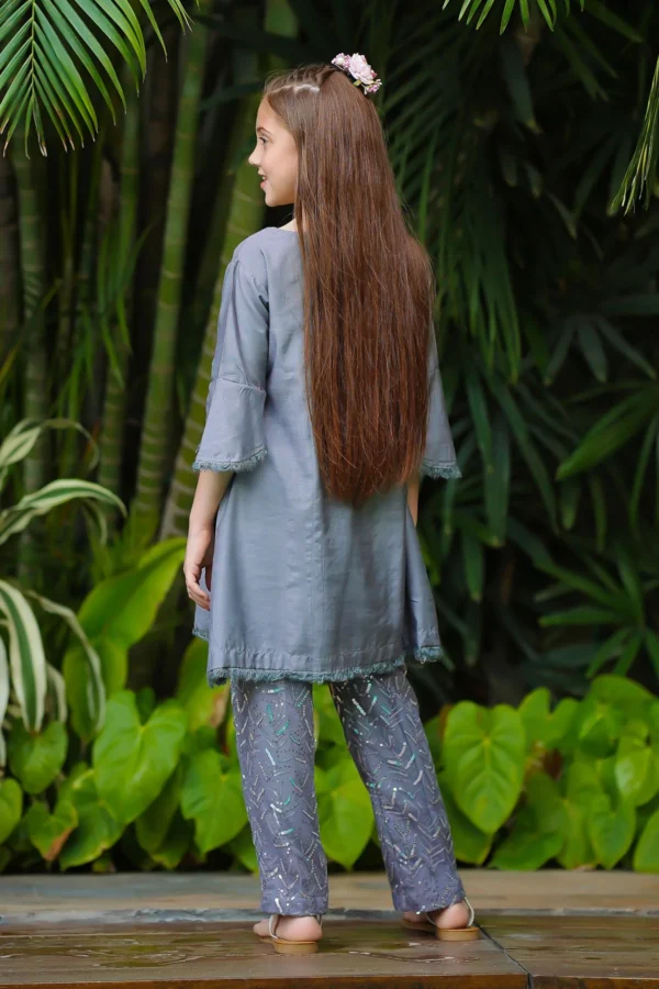 Silver Glow – Cotton Silk Embellished 2PC Suit - Image 4