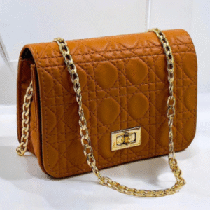 Ladies Hand Bag